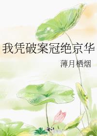 我凭破案冠绝京华TXT百度