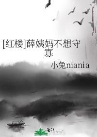 红楼梦之薛姨妈不好惹