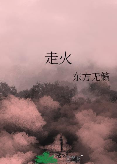 走火是什么意思
