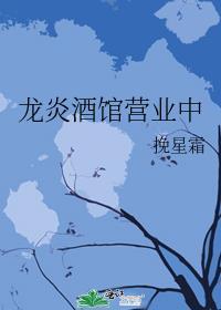 龙炎集团有限公司