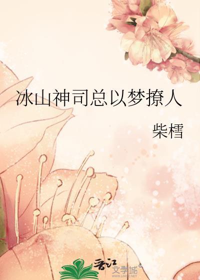 冰山总裁的神级高手全文阅读