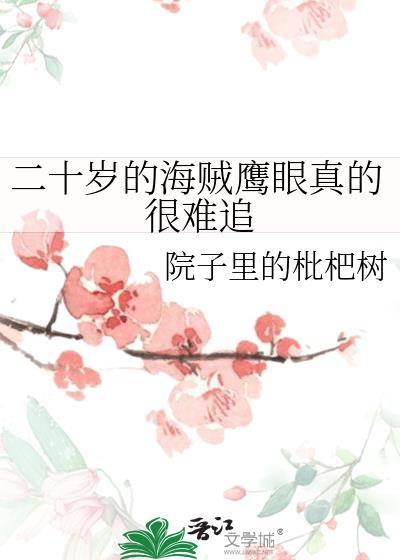 二十岁的海贼鹰眼真的很难追笔趣阁