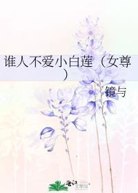 谁人不爱两相依歌词