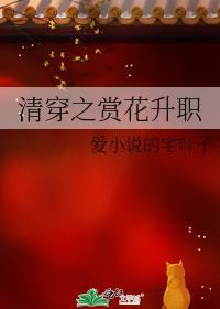 清穿之繁花似锦