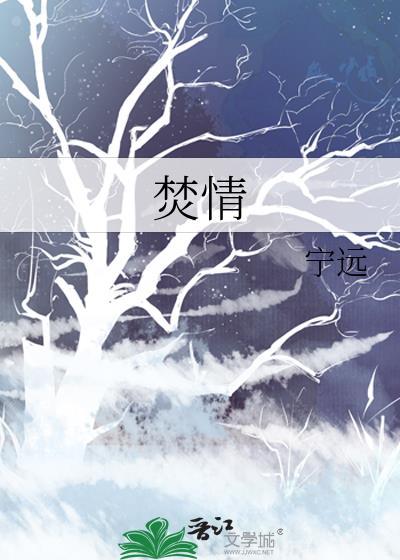 焚情简介