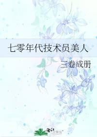 重生七十年代技术员