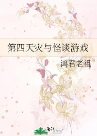 第四天灾 百科