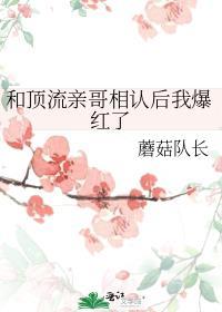 和顶流谈恋爱的日子免费阅读谢今朝