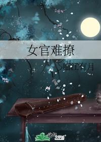 女官讲的什么