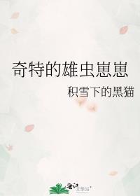 奇特的雄虫崽崽 积雪下的黑猫