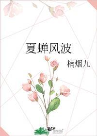 夏蝉作品集