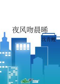 夜风吻晨晞 沈青鲤