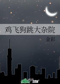 鸡飞狗跳大杂院原名