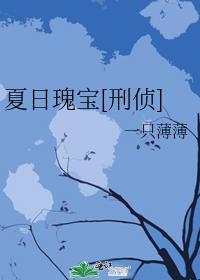 夏日的宝藏中篇