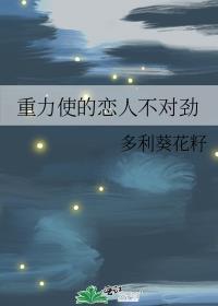 重力下的爱