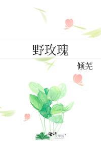 野玫瑰是什么意思