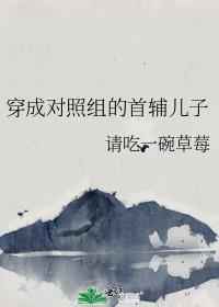 穿成对照组的首辅儿子讲的什么