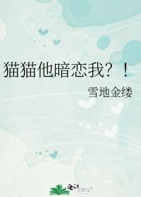猫咪喜欢你的一个表现