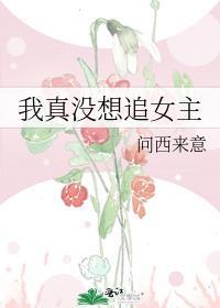 我真没想追女主_问西来意