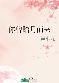 你曾踏月而来TXT