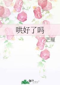 你哄了什么意思