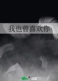 我也曾爱过是什么歌曲
