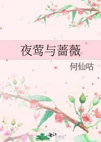 夜莺与蔷薇的评价