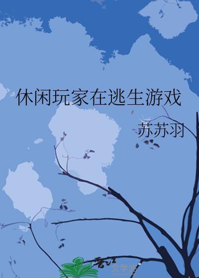 休闲玩家什么意思