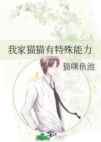 猫的特殊技能