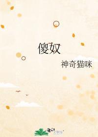 傻奴来了阿痴摄政王
