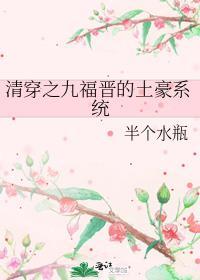 清穿之九福晋晋江
