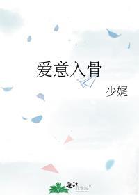 爱意入骨林静婉沈云珩