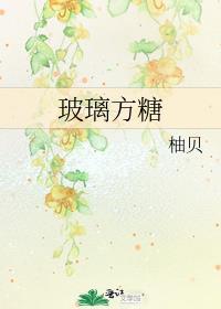 玻璃方糖柚贝