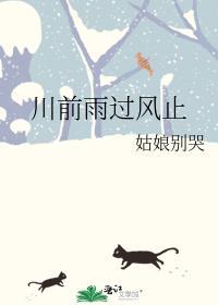 川前雨过风止简介