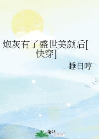 炮灰但盛世美颜