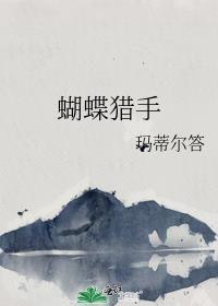 蝴蝶solcion