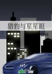 猎豹与星星眼笔趣阁
