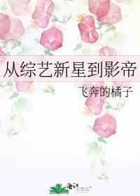 从综艺到明星