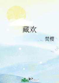 藏欢记徐书晚