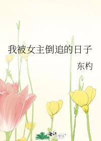 主角被女主倒追的都市