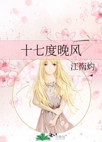 17+17度