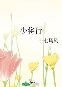 少将行讲的什么故事