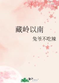 藏南领土现状