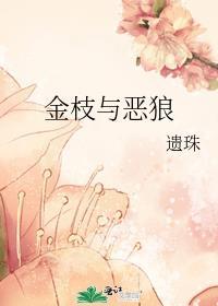 金枝与恶狼讲的什么
