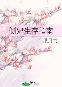 侧妃的悠闲生活