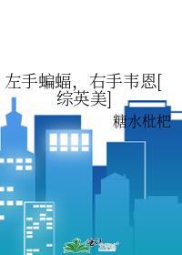 左手蝙蝠右手韦恩综英美-糖水枇杷