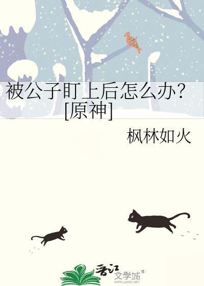 原神公子要害