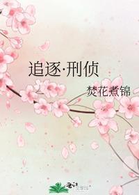 追杀刑警完整版