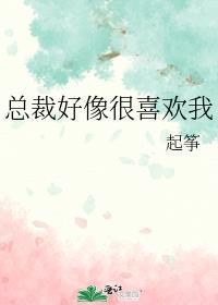 总裁好像很喜欢我by起筝免费阅读