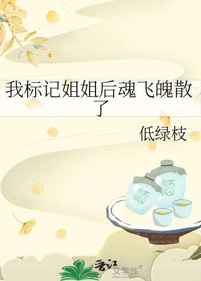 我标记姐姐后魂飞魄散了笔趣阁